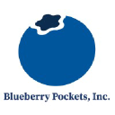 blueberrypockets.com