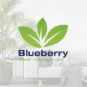 blueberrywealth.co.uk