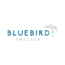 bluebirdleland.com