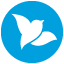 Bluebird