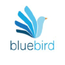 bluebird.org.au