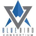 bluebird.pk