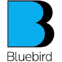 bluebirdart.com