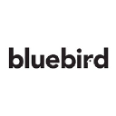 bluebirdartists.com