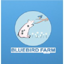 bluebirdfarmct.com