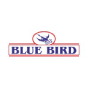 bluebirdindia.com