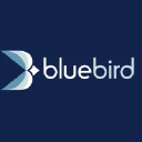 bluebirdlending.com