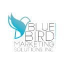 bluebirdmarketingsolutions.com