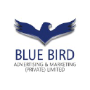 bluebirdpk.com