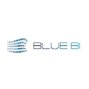 bluebisolution.com