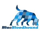 bluebloodhound.com