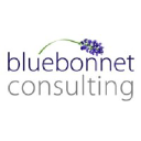 bluebonnetconsulting.com