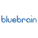 bluebrain.pl