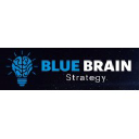 bluebrainstrategy.com