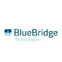 bluebridgetechnologies.com Invalid Traffic Report