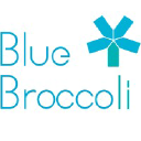 bluebrocco.li