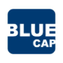 bluecapgestao.com.br