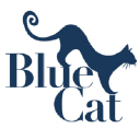 bluecatconsulting.com.au