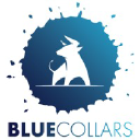 bluecollars.com.au