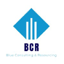 blueconsultingandresourcing.com