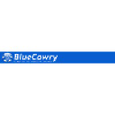 bluecowry.com