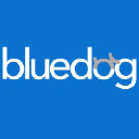 bluedog.it