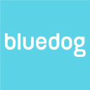 bluedogdesign.com