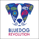 bluedogrevolution.com.br