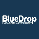 bluedropmx.com