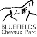 bluefields-stud.com.au