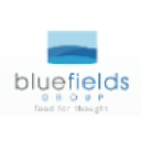 bluefieldsgroup.com