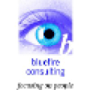 bluefireconsulting.co.uk