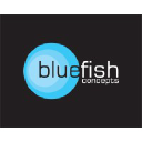 bluefishconcepts.com