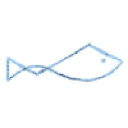 bluefishdream.com