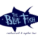 bluefishjax.com