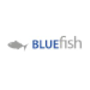 bluefishpayroll.com