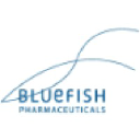 bluefishpharma.com