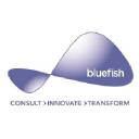bluefishplc.com