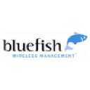 bluefishwireless.net