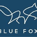 bluefoxbi.com
