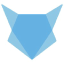 Blue Fox Branding