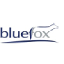 bluefoxgroup.com.au