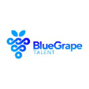 bluegrapetalent.co.uk