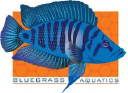 Bluegrass Aquatics