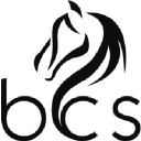 bluegrasscounselingservices.com