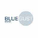 bluegustenergy.com