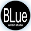 bluehairstudio.com