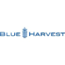 blueharvest.ch