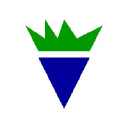 Blue Horseradish logo