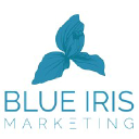 blueirismarketing.com